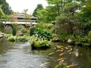 Yoshimatsu - Hakone - 9