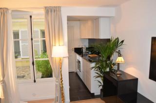 Luxury Apartment in the Golden Triangle - Paris - Paris - 5
