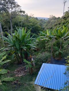 Finca la primavera - - 6
