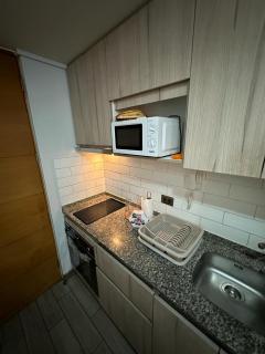 Loft sorprendente con Gym en comuna Independencia - Santiago - 3
