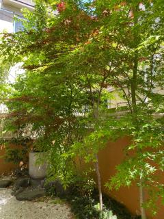 山科站 金閣 - 3