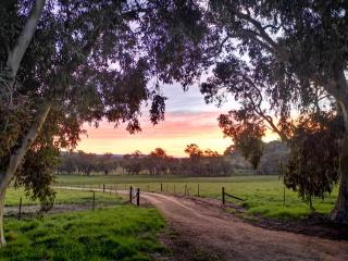 Emmasprings Retreat - Beechworth - 1