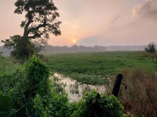 Lake Cabin - Polonnaruwa - 8