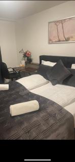 Hotel Hecht - Zurigo - 0