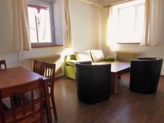 Hotel Rohanov - Lhota nad Rohanovem - 7
