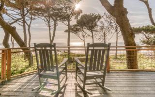 Sheltering Pines - 9