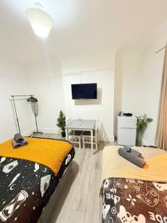 Wandsworth Guest Rooms 64 - Londra - 5