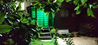 Birch stay - 6