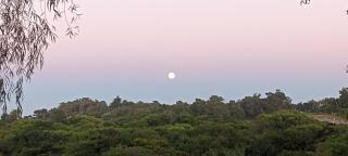 Tamae piriapolis - 2