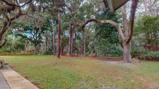 LIVE OAK HIDEAWAY home - Jekyll Island - 8