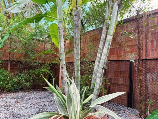 New Eco Bungalow, Bangrak Beach - Amphoe Koksamui - 2