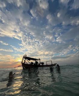 Easy Tiger - M'Pai Bay Beach, Koh Rong Sanloem - 1