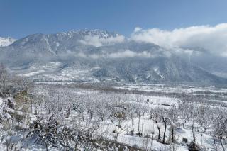 Hotel Sparrow - Pahalgam - 8
