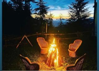 The Raarees Mist Resort, Munnar - Nested in Nature's Lap - Munnar - 4