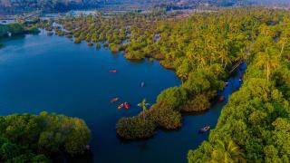 Fragrant Nature Backwater Resort & Ayurveda Spa Kollam - Kollam - 8