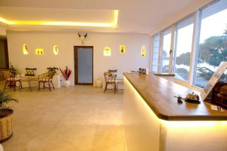 Çamlık 87 Hotel Ayvalık - Ayvalık - 2