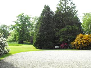 Newforge House - Moira - 6