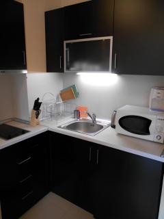 NEAT STUDIOS in "BOROVETS GARDENS" hotel - 5