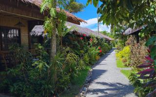 Garden of Eden Dive Resort - Puerto Galera - 9