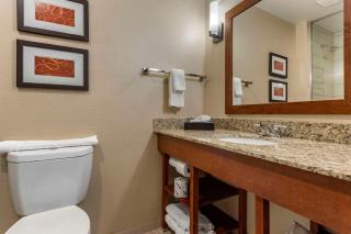 Comfort Suites Bridgeport - Clarksburg - Bridgeport - 5