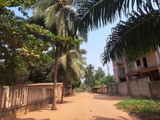 Au Bel Air - Ouidah - 4
