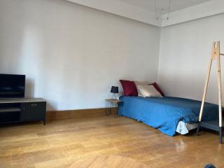 Studio vue sur fontaine des éléphants - Chambéry - 5