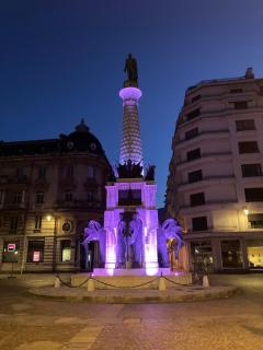 Studio vue sur fontaine des éléphants - Chambéry - 4