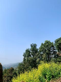 Tranquility Stay - Pokhara - 1