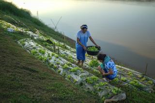 Chiangkhan River Mountain Resort - Chiang Khan - 6
