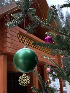 Під озером Синевир - 6