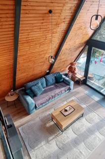 Cabana Alive - Colibita - 9