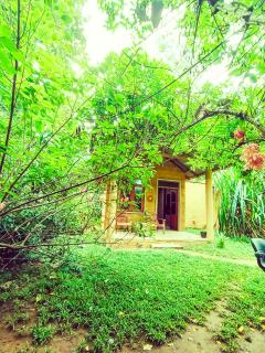 Monkey Jungle Cottage - 3