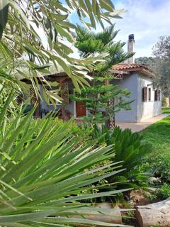 Bill's Garden Villa - Kalamos - 0