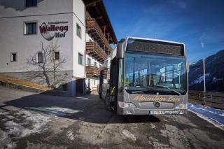 Ski In-Ski Out - Gästehäuser Saalbach-Hinterglemm - Wallegghof Christianhof - Saalbach-Hinterglemm - 8