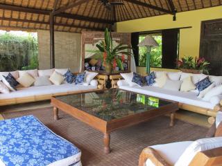Large Private Villa, central Seminyak, Bali - Seminyak - 8