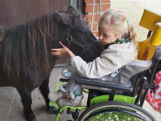 Hoeve Megusta - 7