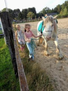 Hoeve Megusta - Vlimmeren - 2