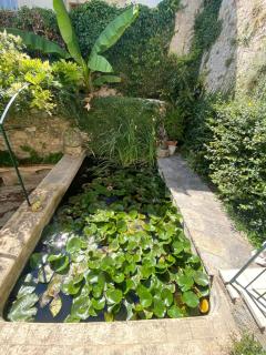 Architect's house 100m2 sea view, terraces 35m2 - Le Cannet - 4