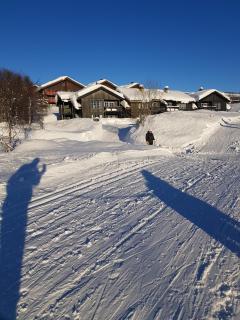 Family-Friendly Apartment in Central Beitostølen - Beitostøl - 9