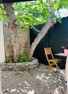 Studio avec Jardin - Balaruc-les-Bains - 4