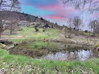 Chalet - Mittlach - 0