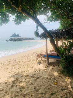 Pure Surf Villa - Weligama - 2