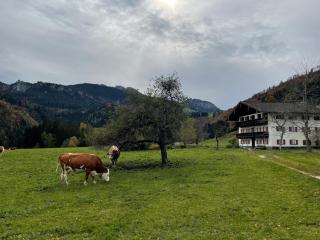 Ferienwohnung Berglodge Chiemsee - Aschau im Chiemgau - 8