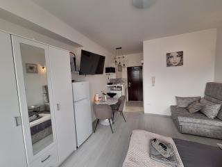 Mystic Grey Studio Apartment - 4