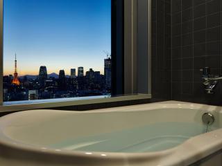 Mitsui Garden Hotel Ginza Premier - 1