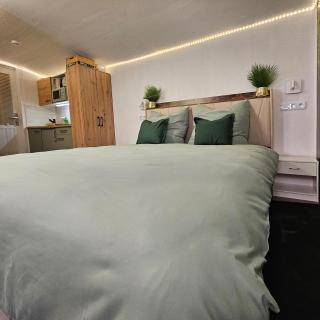 Grünhäuschen im Erzgebirge, 620 m üdM - 5