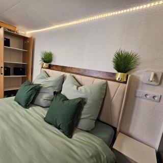 Grünhäuschen im Erzgebirge, 620 m üdM - 6