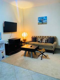 Rige's Homes Furnished Studio - Nairobi - 8