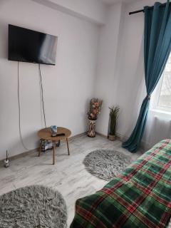 ARP LUXURY Apartments - 4