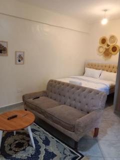 Rige's Homes Studio Unit - Nairobi - 5